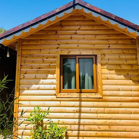 Bunec Seascape Piqeras