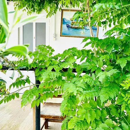 Bunec Seascape Hotel